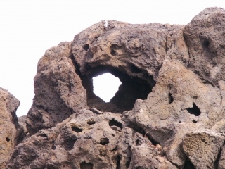 Ka'ena Point